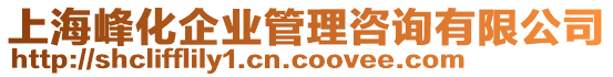 上海峰化企業管理咨詢有限公司