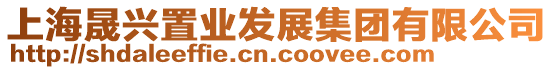 上海晟興置業發展集團有限公司