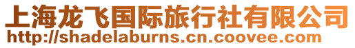 上海龍飛國際旅行社有限公司