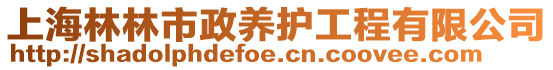 上海林林市政養護工程有限公司