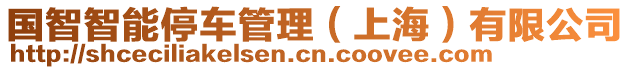 國智智能停車管理（上海）有限公司