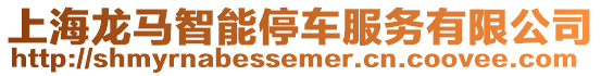 上海龍馬智能停車服務(wù)有限公司