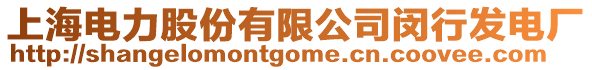 上海電力股份有限公司閔行發(fā)電廠