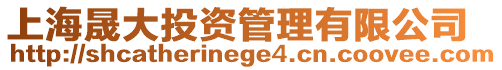 上海晟大投資管理有限公司