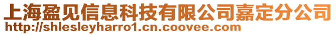 上海盈見信息科技有限公司嘉定分公司