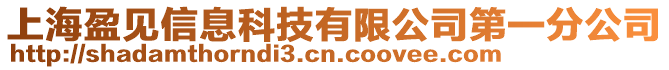 上海盈見信息科技有限公司第一分公司