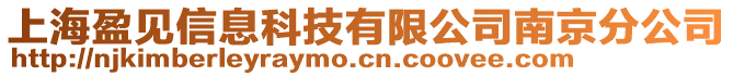 上海盈見信息科技有限公司南京分公司