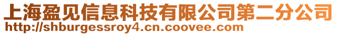 上海盈見信息科技有限公司第二分公司