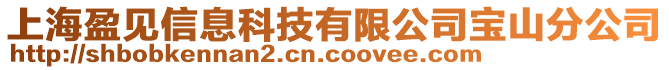 上海盈見信息科技有限公司寶山分公司