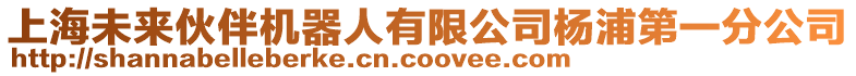 上海未來伙伴機(jī)器人有限公司楊浦第一分公司