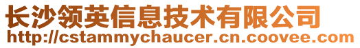 長沙領(lǐng)英信息技術(shù)有限公司