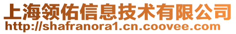 上海領(lǐng)佑信息技術(shù)有限公司