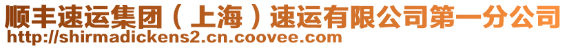 順豐速運集團(上海)速運有限公司第一分公司