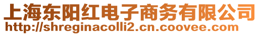 上海東陽(yáng)紅電子商務(wù)有限公司