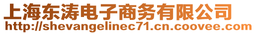 上海東濤電子商務(wù)有限公司