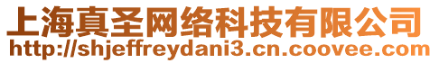 上海真圣網絡科技有限公司