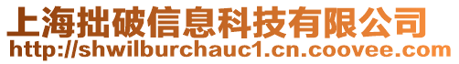 上海拙破信息科技有限公司