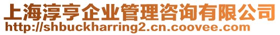 上海淳亨企業(yè)管理咨詢有限公司