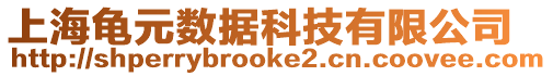 上海龜元數(shù)據科技有限公司