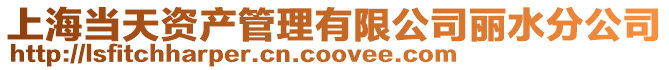 上海當天資產管理有限公司麗水分公司