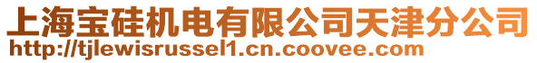 上海寶硅機電有限公司天津分公司