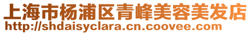 上海市楊浦區青峰美容美發店