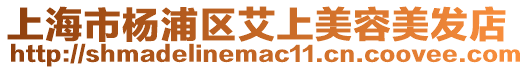 上海市楊浦區艾上美容美發店