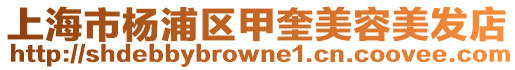 上海市楊浦區甲奎美容美發店