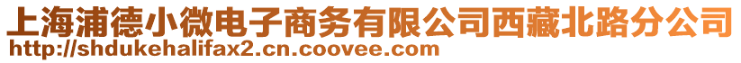 上海浦德小微電子商務有限公司西藏北路分公司