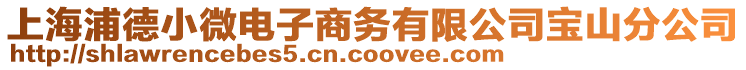 上海浦德小微電子商務有限公司寶山分公司