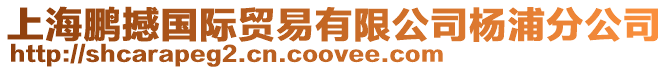 上海鵬撼國際貿(mào)易有限公司楊浦分公司