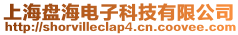 上海盤海電子科技有限公司