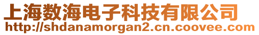 上海數海電子科技有限公司
