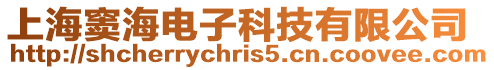 上海竇海電子科技有限公司