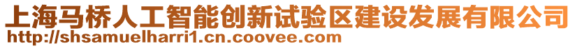 上海馬橋人工智能創新試驗區建設發展有限公司
