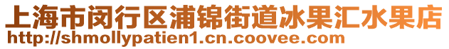 上海市閔行區(qū)浦錦街道冰果匯水果店