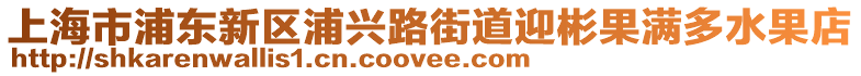 上海市浦東新區浦興路街道迎彬果滿多水果店
