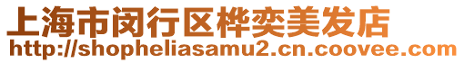 上海市閔行區樺奕美發店