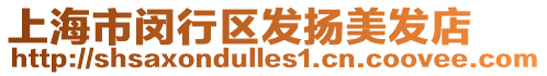 上海市閔行區(qū)發(fā)揚(yáng)美發(fā)店