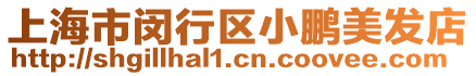上海市閔行區(qū)小鵬美發(fā)店