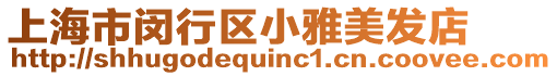 上海市閔行區(qū)小雅美發(fā)店