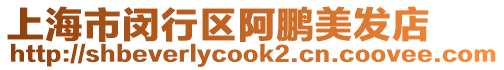 上海市閔行區(qū)阿鵬美發(fā)店