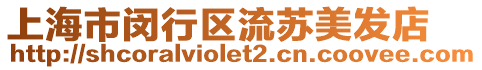 上海市閔行區流蘇美發店