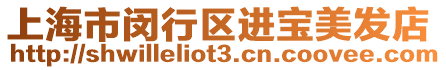 上海市閔行區(qū)進(jìn)寶美發(fā)店