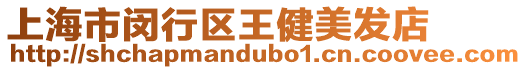 上海市閔行區(qū)王健美發(fā)店