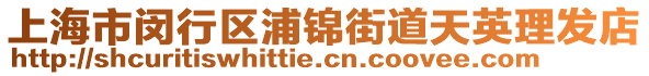 上海市閔行區(qū)浦錦街道天英理發(fā)店