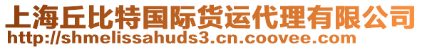 上海丘比特國際貨運代理有限公司