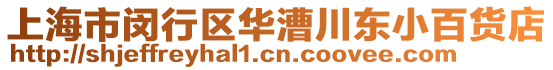 上海市閔行區(qū)華漕川東小百貨店