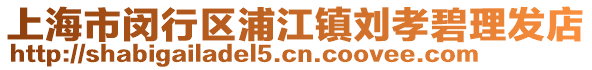 上海市閔行區(qū)浦江鎮(zhèn)劉孝碧理發(fā)店