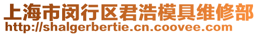 上海市閔行區(qū)君浩模具維修部